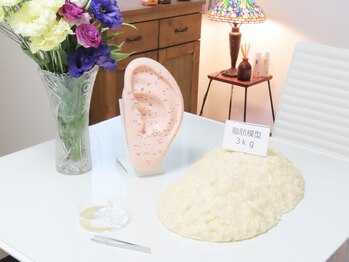 コスモスの写真/短期集中!本気で痩せたい方に!挫折しない寄り添った指導で、目標に向かって徹底サポート☆