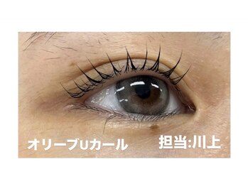 プラスアイ 藤沢南口駅前店/オリーブロッドUカールLサイズ