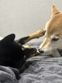 レイス(LEISS)&nbsp;2匹の愛犬♪