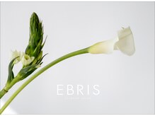 エブリス 浦和店/美眉アイブロウスタイリング