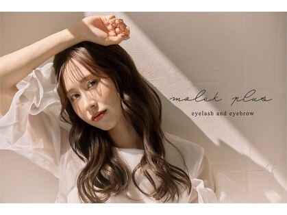 モレプラス(Molek plus)の写真