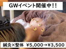 スタイル鍼灸整骨院