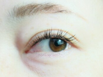 アルシア(ALsia)/ALsia eyelash 八千代緑が丘.4