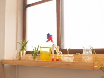 こりほぐし 図書館前/小物&植物