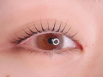 シピリカ(Shiprica.)の写真/大人女性のための上質なまつげ技術で、理想の目元を手に入れましょう◎清潔感あふれる空間でリラックス♪
