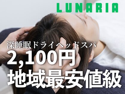 ルナ(Lunaria)の写真