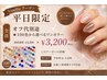 オフ代別途【平日限定キャンペーン】★100色から選べるワンカラー ￥3200