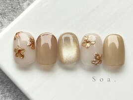 【定額】ミドルコース