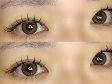 メメ(meme.)/フラットラッシュ120本