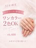【10月限定★リピーター様】定番☆ワンカラー 2色OK!¥6400