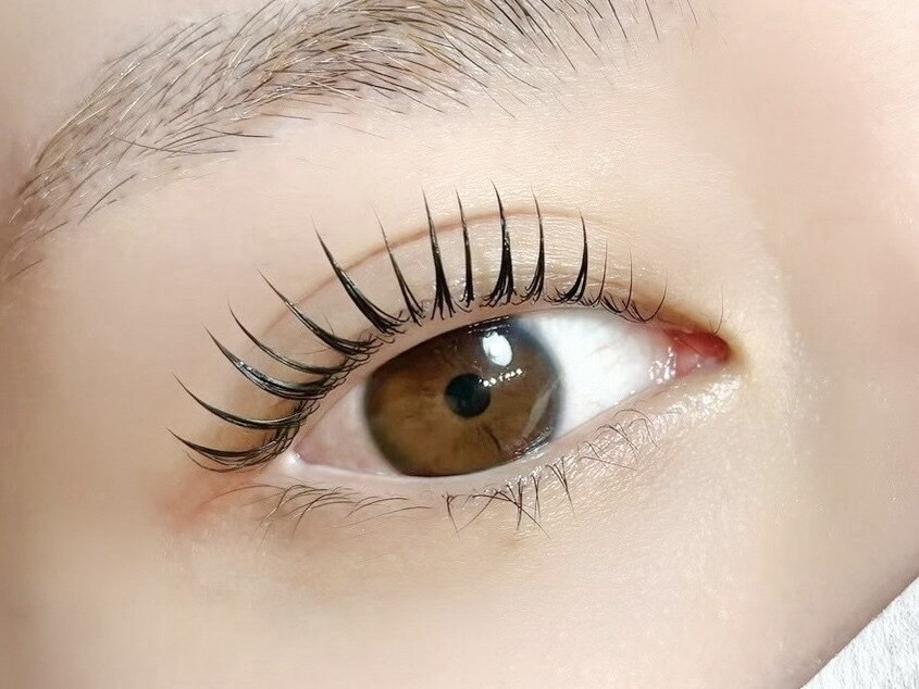 韓国発！最新マスカラパーマ(パリジェンヌorまつげパーマ)※10分前来店必須