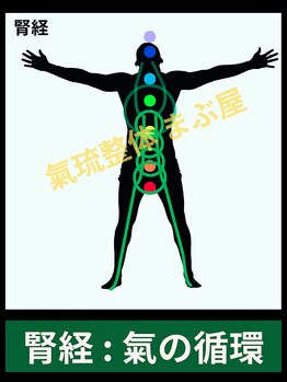 まぶ屋/腎の経絡内 気の循環イメージ