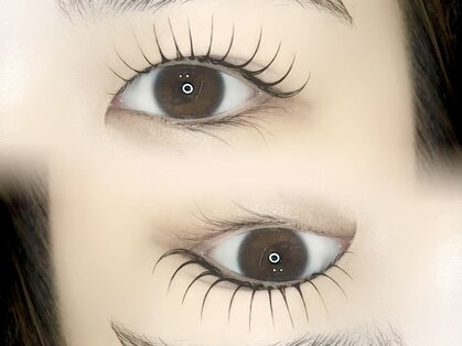 ヒビ(hibi)の写真