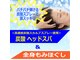 夢の梟の写真