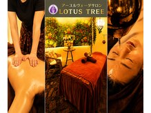 ロータスツリー(LOTUS TREE)