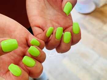 クレー(Klee)/美ワンカラー