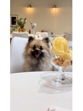 ゆびノさき タヌキ 店長代理