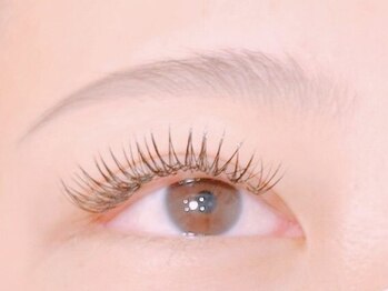 タイト アイラッシュ(tyto eyelash)の写真/【低価格×高技術】美眉で第一印象UP♪お顔の印象を決めるアイブロウはプロにおまかせ☆メンズにもおススメ