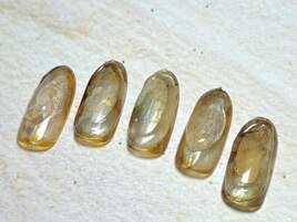 ジェルデザインプラス￥11,000