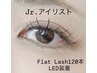 【期間限定Jrクーポン】フラット120本 LED変更可能 