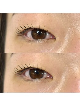 フィービー(pheebe)/まつ毛パーマ