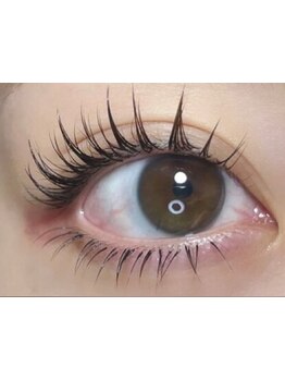 初めての方にオススメ