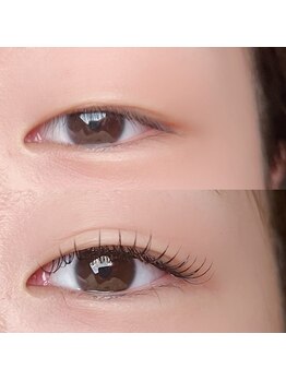 カメリア(Camellia)/一重さんもパッチリ