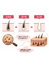 ジョエルワックス 沖縄那覇店(JOELLE WAX)/毛の生え変わりに合わせた脱毛を