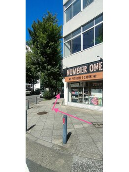 馨屋(ケイヤ)/ペットショップ右折まっすぐ進み