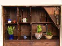 こりほぐし 図書館前/小物&植物