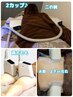 【BESTITEM受賞！60％ＯＦＦ♪】　ホンマでっかTVでも話題になった脂肪冷却♪