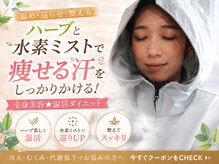 ヨサパーク ブリスフル(YOSA PARK Blissful)