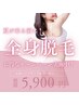【レディース】全身ハイブリッド脱毛（顔なし）