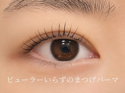 グラース(Grace)の写真