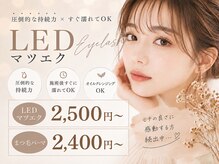 パレス 八尾 河内山本