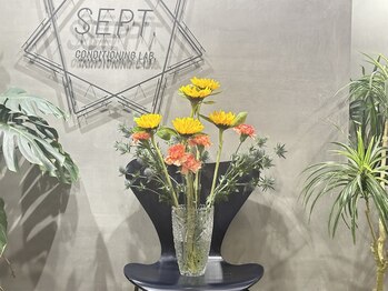 セプトきらく鍼灸整体院(Sept.)/今週のお花☆