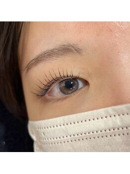 ハオルチア(Haworthia)/マスカラパーマ