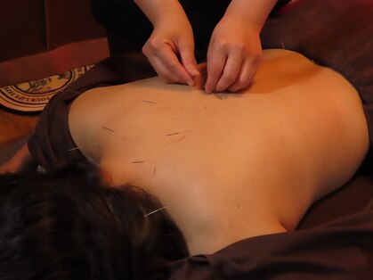 ツムギ(Tsumugi)の写真