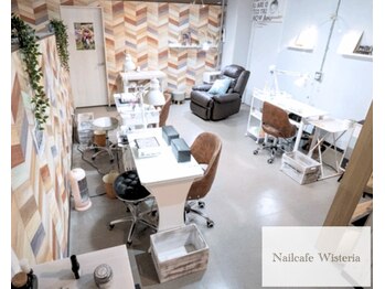 ウィステリア(Wisteria)