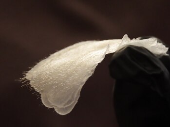 オリ(ORI)/びっしりとれています！！！！！