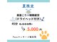 パウズ(Paws)の写真