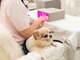 プッコネイル(puuko nail)の写真