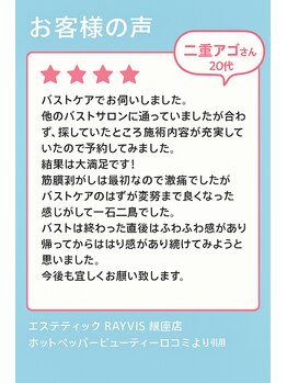 エステティック レイビス 銀座店(RAYVIS)/