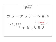 ウェリナ(WELINA)/カラーグラデーション