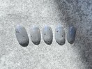 PG011623754