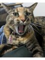 ブプラ 光の森店(BUPURA)&nbsp;家では野生み溢れる家猫を吸ってます笑