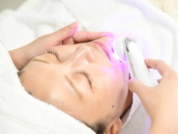 ライカブルー(RaicA BluE)/エレクトロポレーション(1)