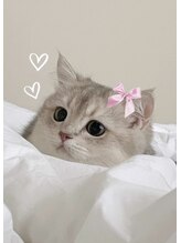 ミアラッシュバイオンフリーク(miiia lash by ON fleek)&nbsp;miiiia lash