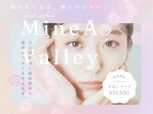 ミネアヴァリー(Mine A Valley)