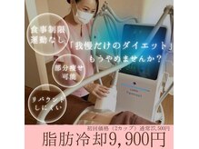 スポットスリム(SPOT SLIM)